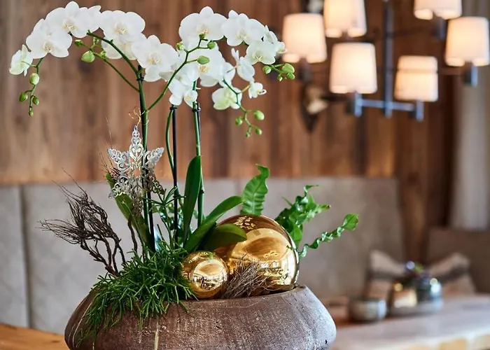 בית הארחה Goldners